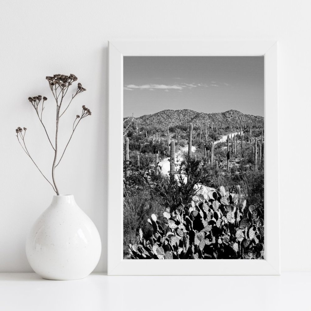 Contemporary Black & White Desert Road Landscape 8x10 Photo Art Print